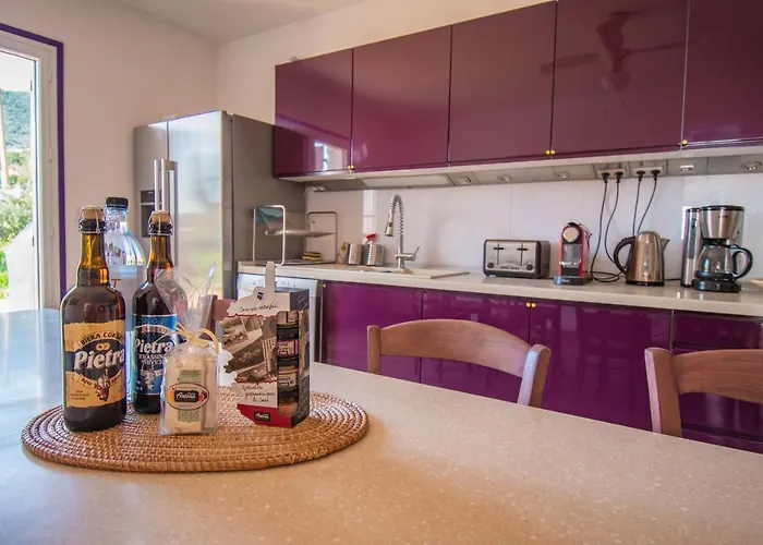 U Paradisu - 10/12 Pers Avec Piscine Privee *