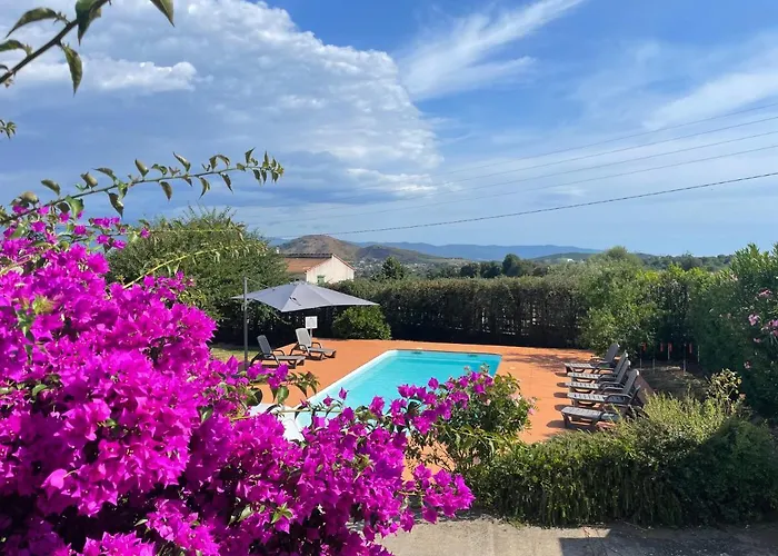 U Paradisu - 10/12 Pers Avec Piscine Privee *